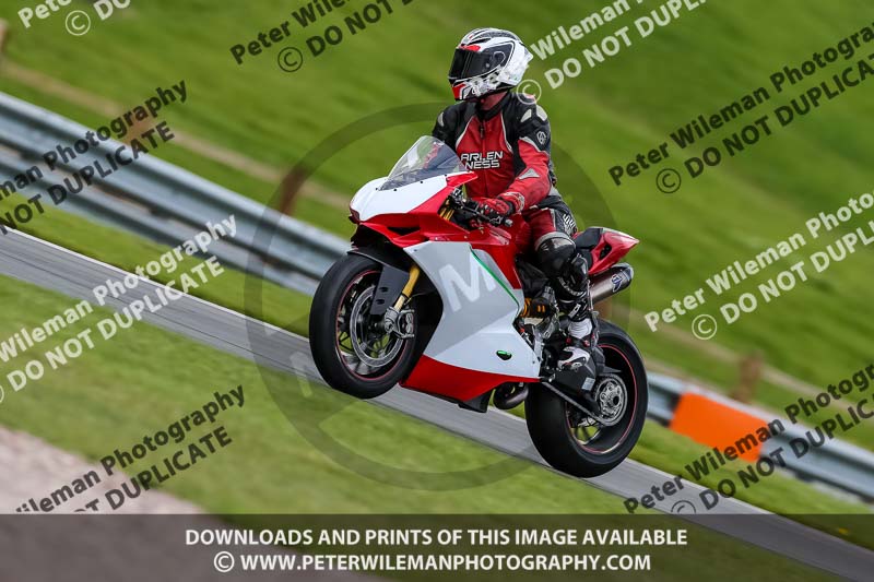 PJ Motorsport 2019;donington no limits trackday;donington park photographs;donington trackday photographs;no limits trackdays;peter wileman photography;trackday digital images;trackday photos